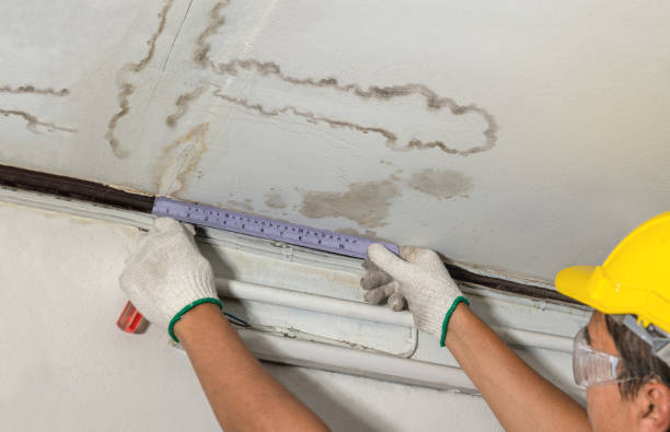 Reliable Mold Remediation contractor in Depew, OK by Water Damage Irwin